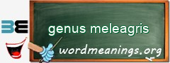 WordMeaning blackboard for genus meleagris